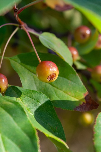 决的短板 决的短板