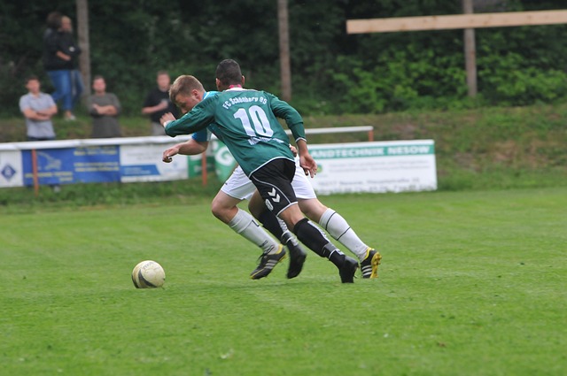 为他赢得了 为他赢得了