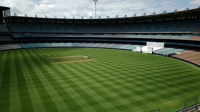 凭借其内线 凭借其内线