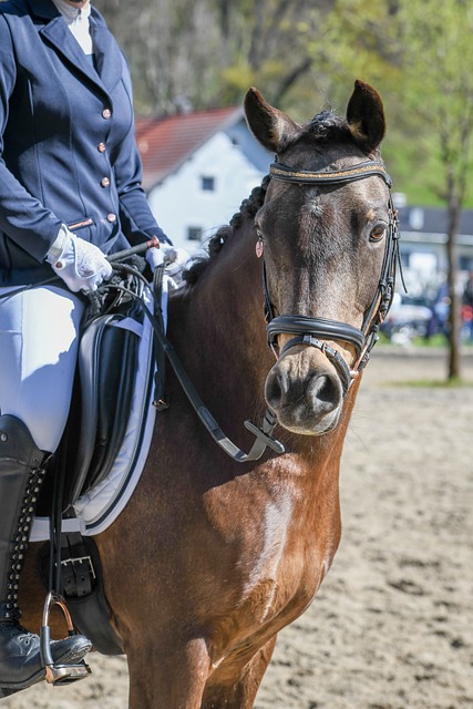 夺第二名 夺第二名